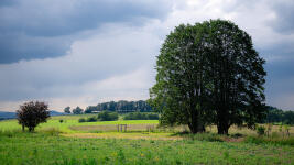 01 Lípy Wohlmanův kříž foto Lucie Mojžíšová