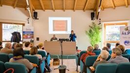 konference