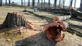 FRydlkácení park hřbitov 1