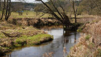 meandrysmede-00