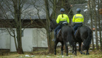 policie31