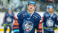 vitásek