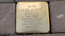 Stolperstein 24