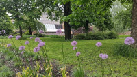 zelen03