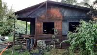 chatkadoksy