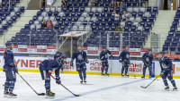 tygři2