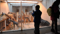 zoo2