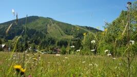 harrachov