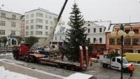 JNstrom22instalace-vanocniho-stromu