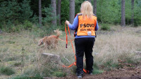 PSOVOD1