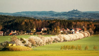alejFrydštejn