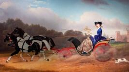 harrachove karusel 3840x2090-srgb