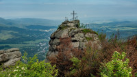 Paličník