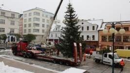 JNstrom22instalace-vanocniho-stromu