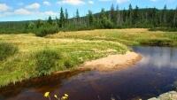 NPRRašeliniště2