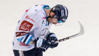 hoVlachBilahul