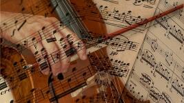 violoncello