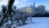 svijanyZIma