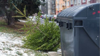 stromekupopelnice