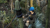 botanickakaktus3