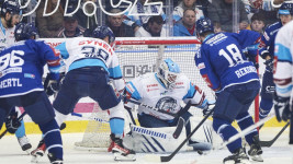 plzen100