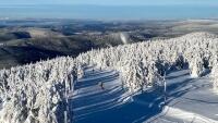 lysáRotytnice