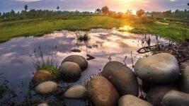 biotope