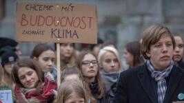 tvlkprotest-stazeny-soubor