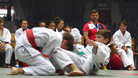 ODM2judo