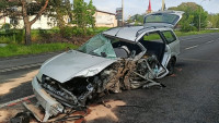 DNCL2pčr