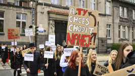 protestskola4