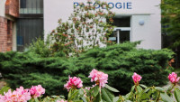 patologie2