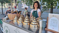 gelatoTOP
