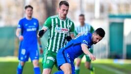 slovan8
