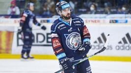 birner7