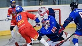 hokejbalILUSTRAČNÍ FOTO AUTOR MARKÉTA KŘÍŽOVÁ