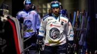 birner7