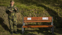 lavickaveteran 2