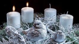 adventNew