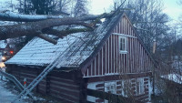 peřimov