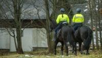 policie31