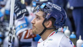 vlach101