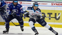 plzen201