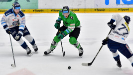bruslaři1