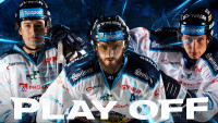24playOFFok