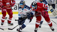 oloPlayoff24