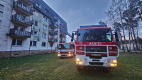 loužnice