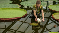 botankaviktorie1irma
