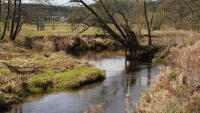 meandrysmede-00