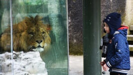 a-zoo-pod-lk-05